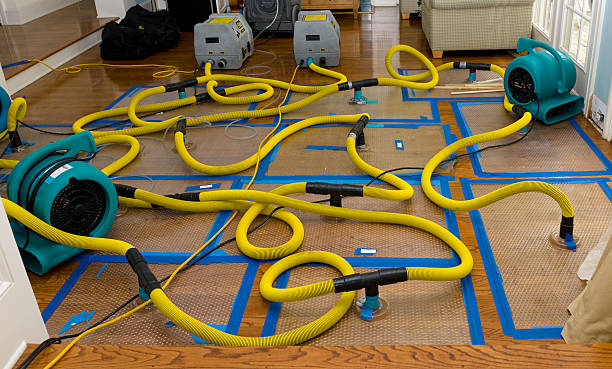 Professional Water Extraction technician working in Wendell, MA